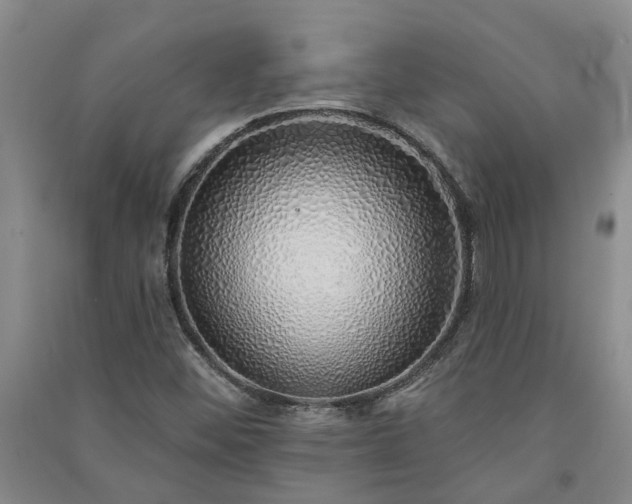 X0000091371452200708171535