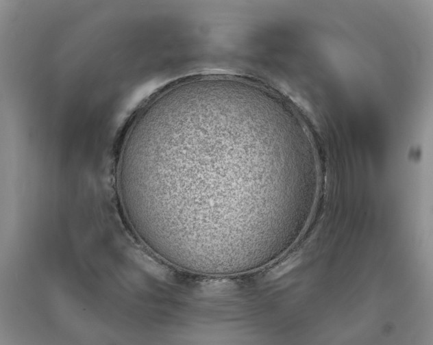 X0000091371454200708171535