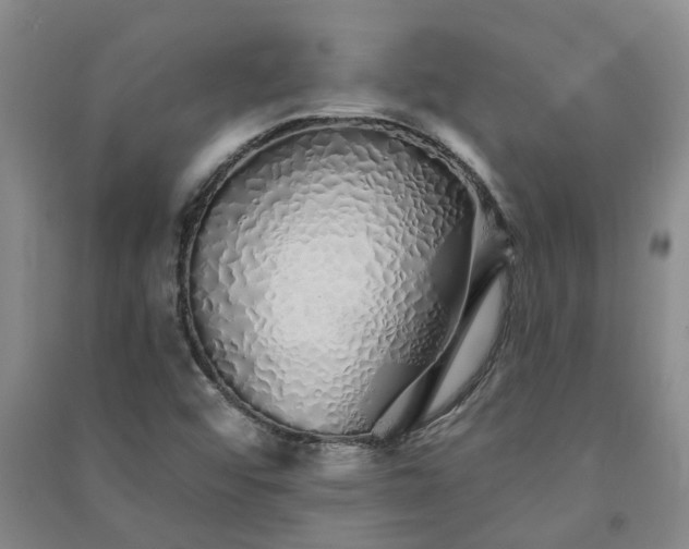 X0000091371456200708171535