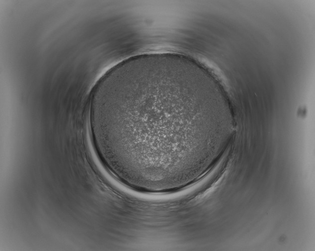 X0000091371457200708171535