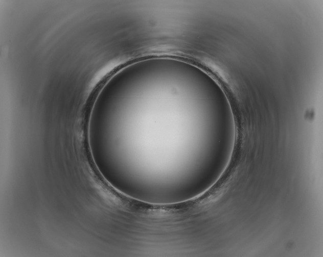 X0000091371458200708171535