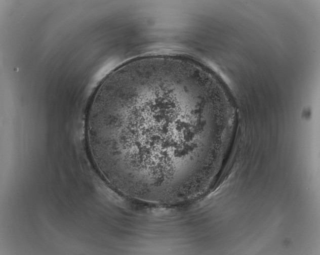 X0000091371459200708171535