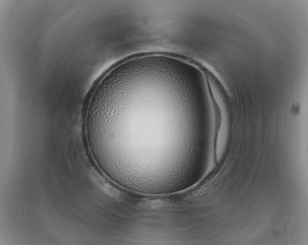 X0000091371460200708171535