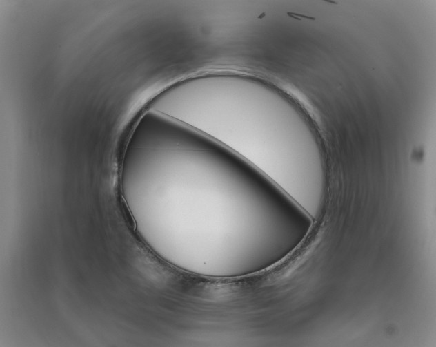 X0000091371461200708171535