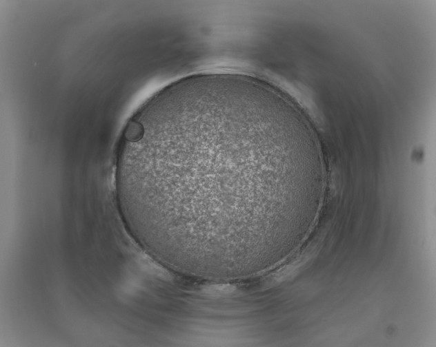 X0000091371462200708171534