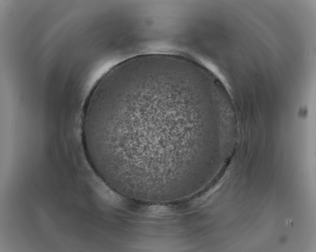 X0000091371463200708171534