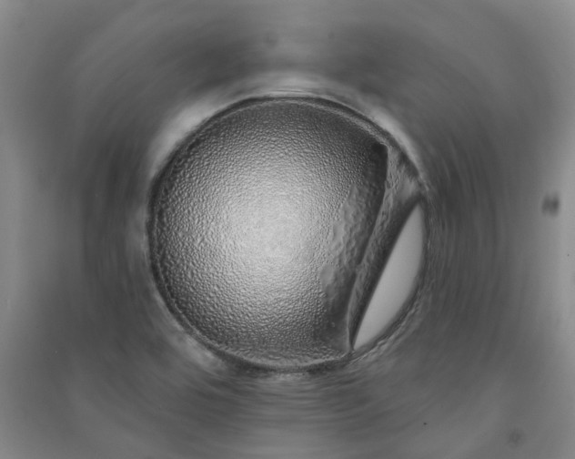 X0000091371464200708171534