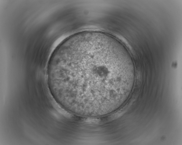 X0000091371466200708171534