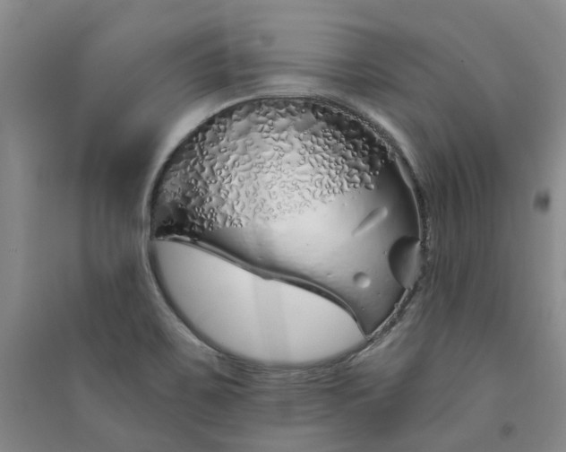 X0000091371467200708171534