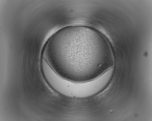 X0000091371469200708171534