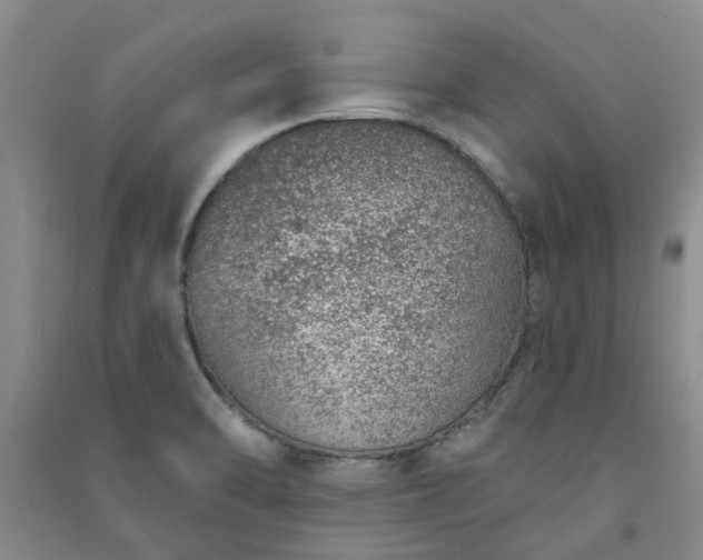 X0000091371470200708171534