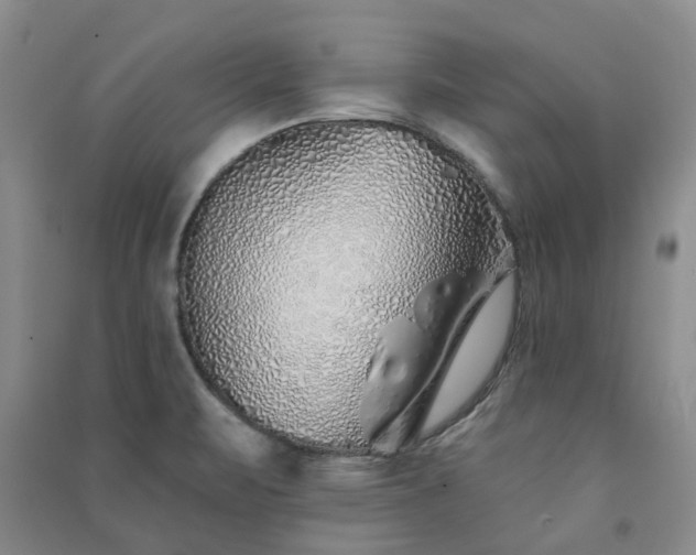 X0000091371471200708171534