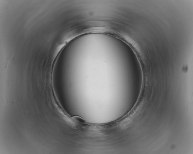 X0000091371473200708171534