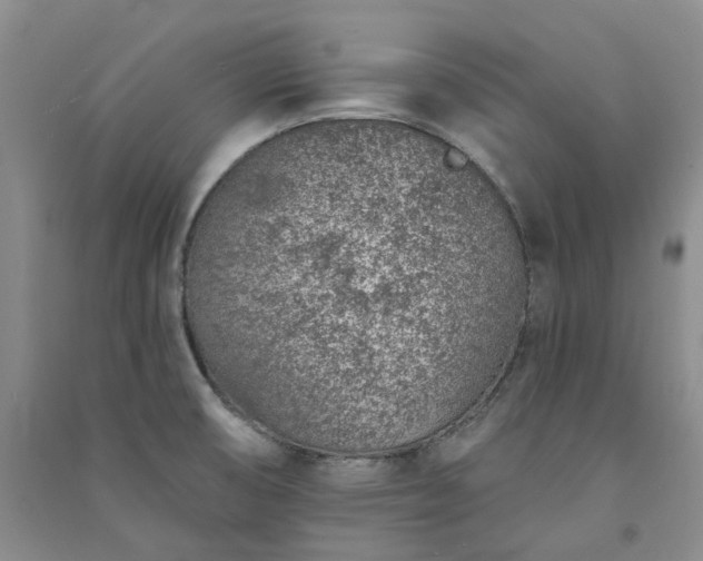 X0000091371474200708171534