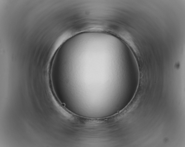 X0000091371475200708171534