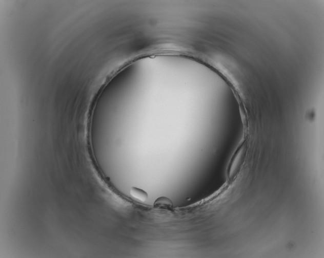 X0000091371477200708171534