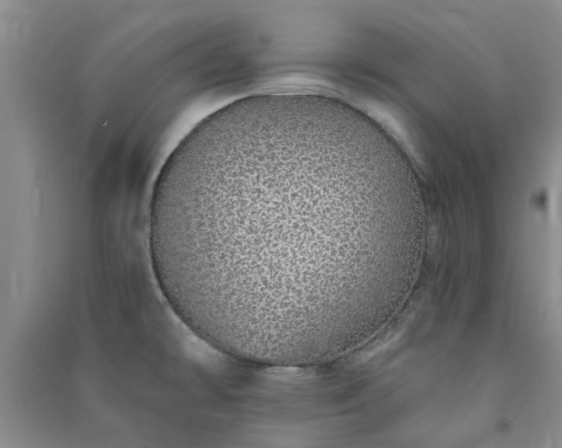 X0000091371478200708171534