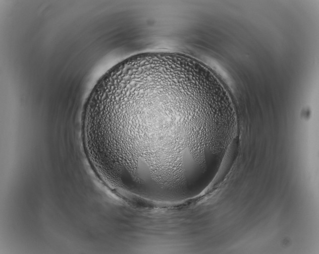 X0000091371480200708171534