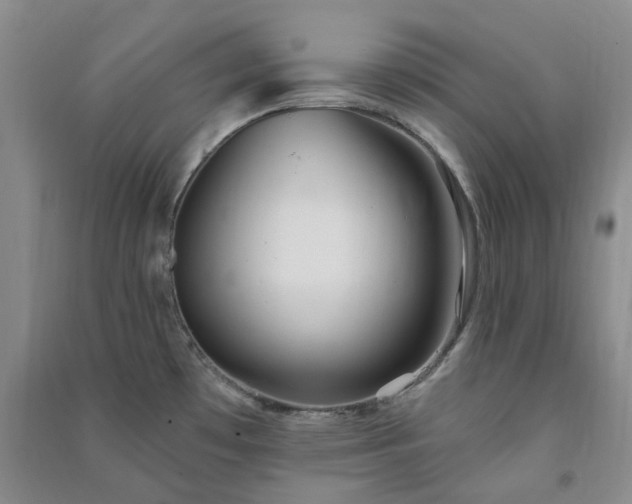 X0000091371481200708171534