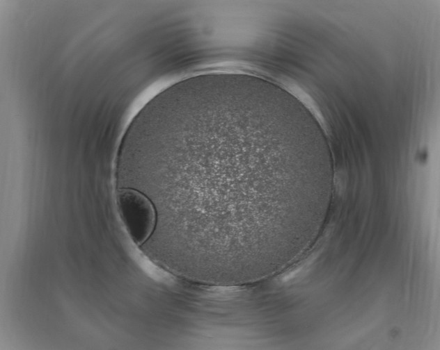 X0000091371482200708171534