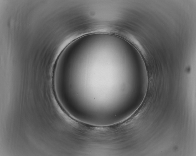 X0000091371483200708171534