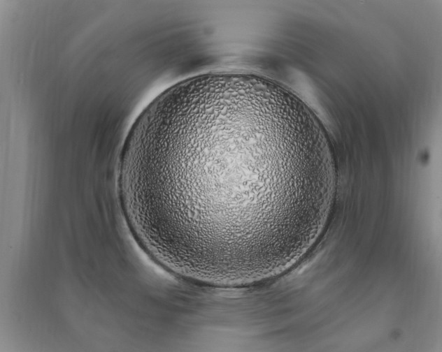 X0000091371484200708171534