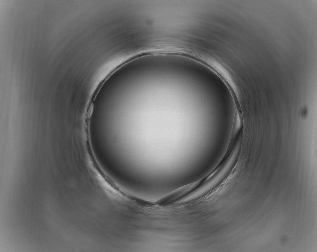 X0000091371485200708171534