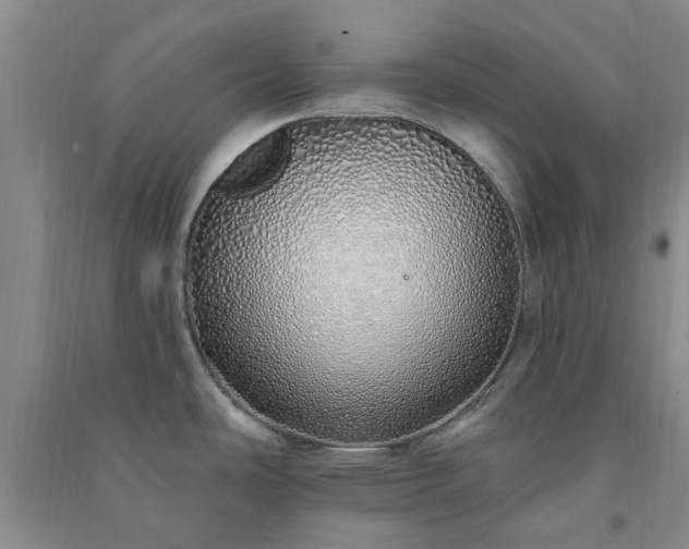 X0000091371486200708171534