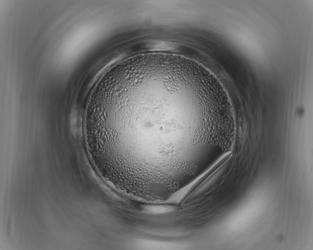 X0000091371487200708171534