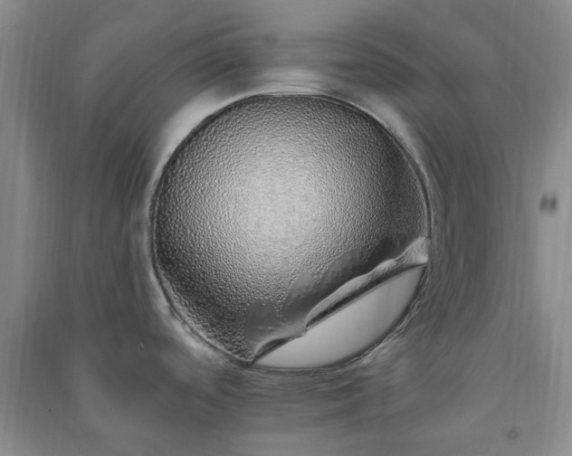 X0000091371488200708171534