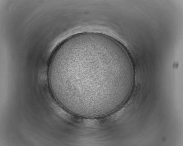 X0000091371498200708171534