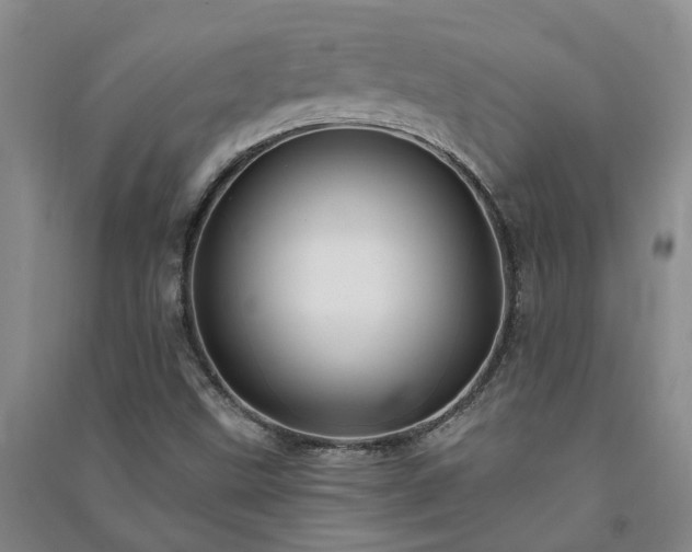 X0000091371499200708171534