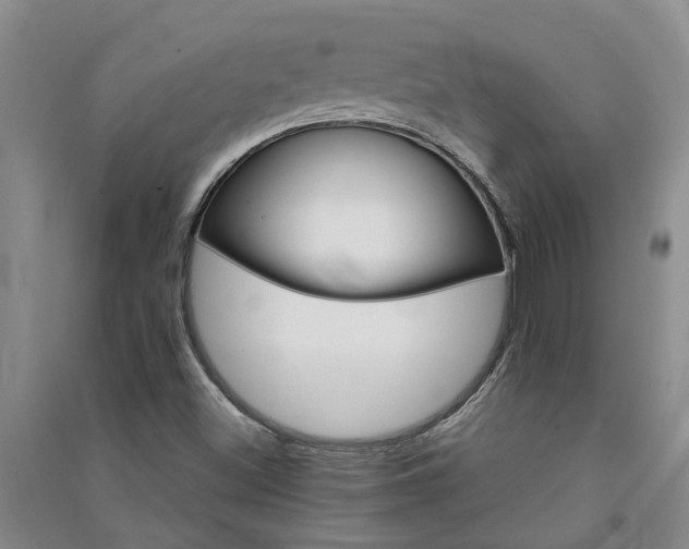 X0000091371500200708171534