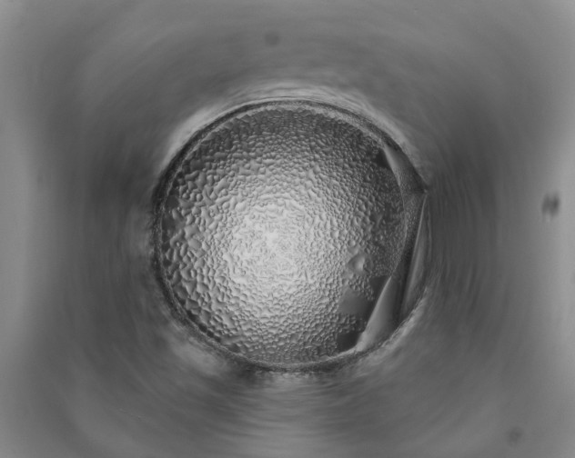 X0000091371501200708171534