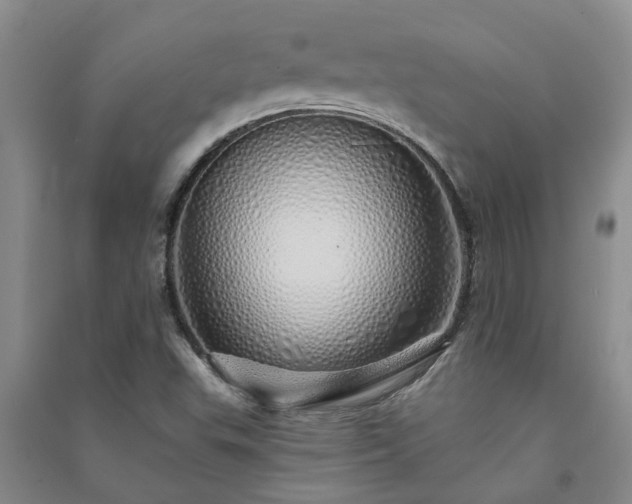 X0000091371503200708171534