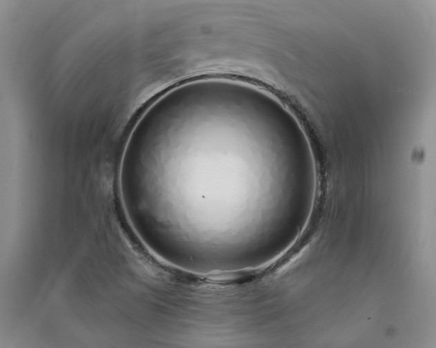 X0000091371505200708171534