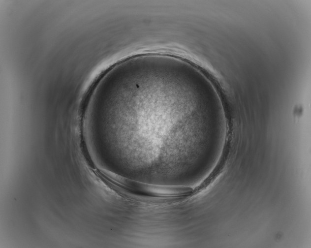 X0000091371506200708171534