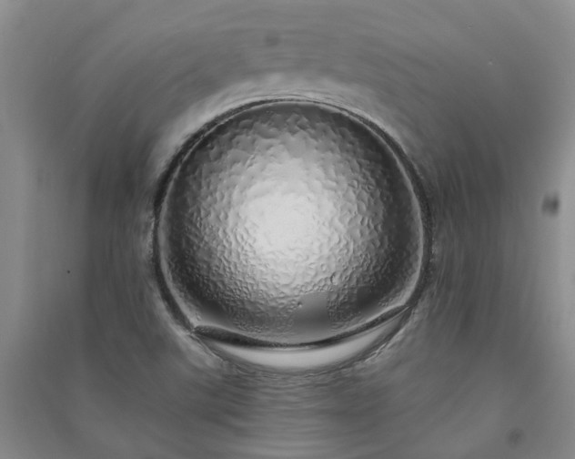 X0000091371507200708171534