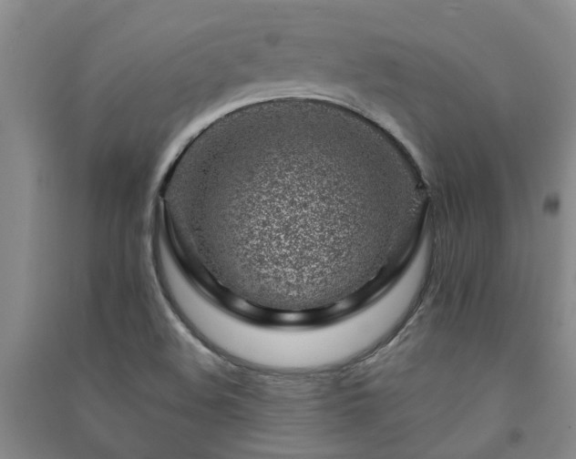 X0000091371508200708171534