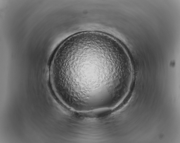 X0000091371509200708171534