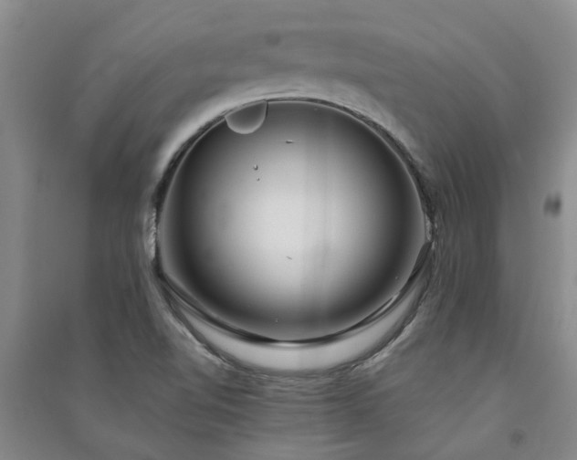 X0000091371510200708171534