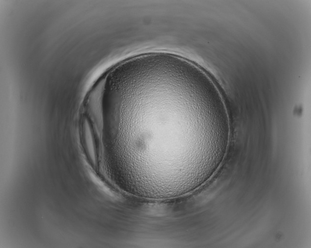 X0000091371511200708171534