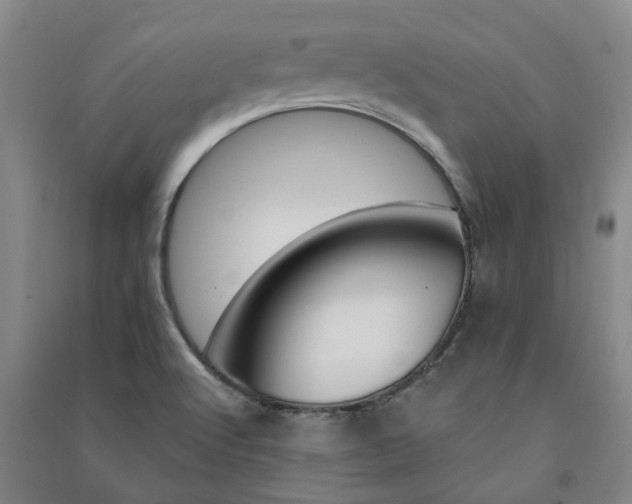 X0000091371512200708171534