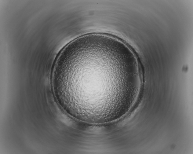 X0000091371513200708171534