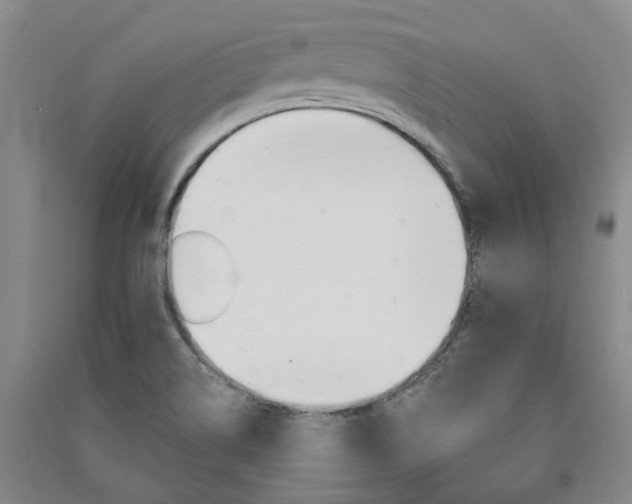 X0000091371514200708171534