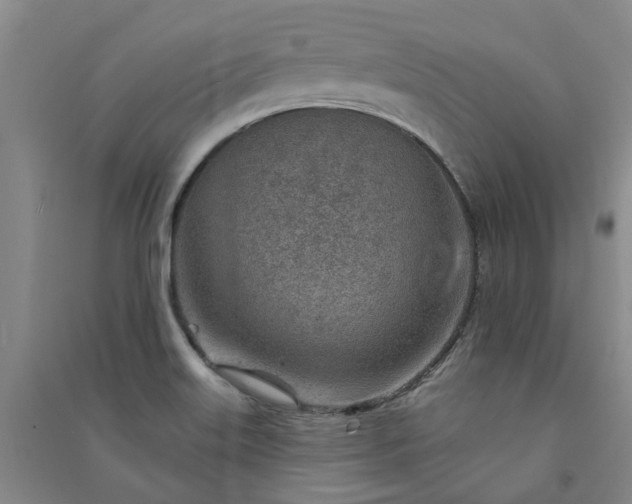 X0000091371515200708171534