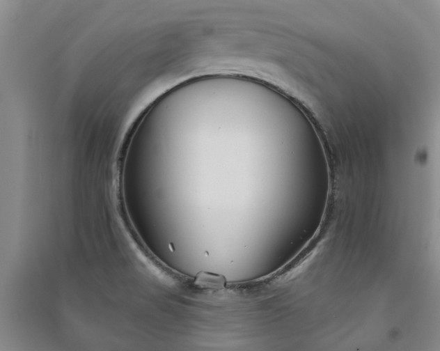 X0000091371517200708171534