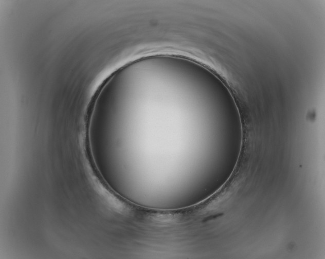 X0000091371518200708171534