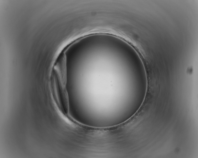 X0000091371519200708171534