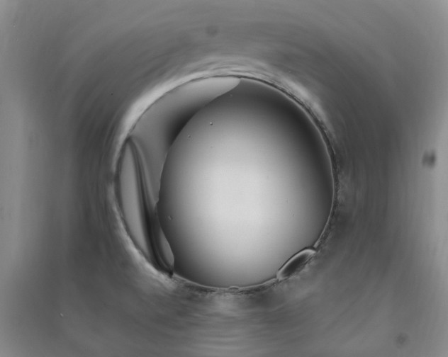 X0000091371520200708171534